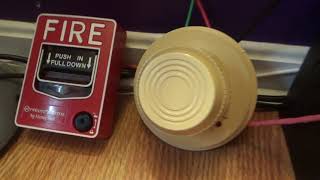 Quick Fire Alarm Panel Demonstration Test [upl. by Neerihs]