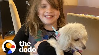 Shes Allergic To Dogs — Watch Her Dad Find Her The Perfect Rescue Pup  The Dodo Adoption Day [upl. by Akkina]