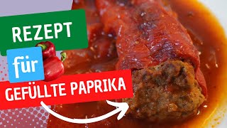 Gefüllte Paprika mit TomatenZwiebelGemüse [upl. by Euk]