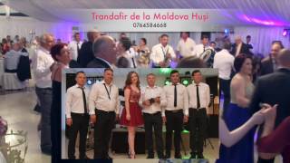 Trandafir de la Moldova Husi  Ca la nunta 2016 [upl. by Sande529]