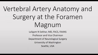 Vertebral Artery Anatomy and Surgery at the Foramen Magnum [upl. by Kablesh794]