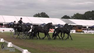 Benjamin AILLAUD Fra Dressage FEI WDFC BREDA 2016 [upl. by Fawcette]