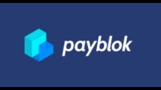 PayBlok Project Analysis and Evaluation [upl. by Yecnay767]