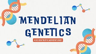 MENDELIAN GENETICS  Science 8 Quarter 4Module 3 [upl. by Kimball]