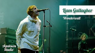 Liam Gallagher Wonderwall Live Knebworth 22 [upl. by Derfliw]