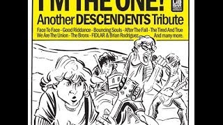 Descendents  Im The One Covers Full Album 2013 [upl. by Ramona443]