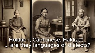 Hokkien Cantonese Hakka  are they languages or dialects [upl. by Kamillah]