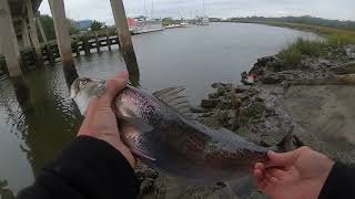 Meeting up with VisualLY for some sheepshead shore fishing in Jacksonville and Fernandina Beach FL [upl. by Inasah]