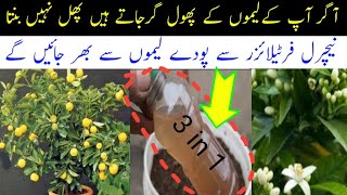 Best fertilizer for lemon flowering and fruiting  How to fertilize potted lemon plants more fruit [upl. by Dyann]