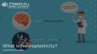 What is Neuroplasticity [upl. by Ocko]