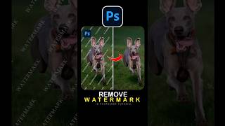 Remove Watermark In Photoshop ✅ photoshop adobephotoshop photoshoptutorial [upl. by Solenne]