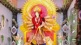 Mungeli cg live Divya darsan mata rani ki [upl. by Eerolam]