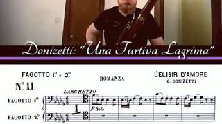 Donizetti quotUna Furtiva Lagrimaquot bassoon solo [upl. by Sayers]