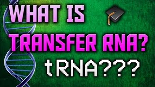 What is tRNA [upl. by Arno575]