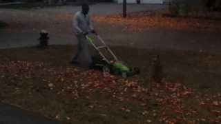 Raking leaves with greenworks lawnmower very easy [upl. by Yc670]