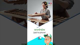 Percussion Instruments in Nepali languagelearning education vocabularywords nepali [upl. by Aibar]