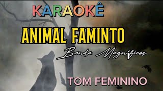 Banda Magníficos •Animal Faminto •Karaokê Tom FemininoAgudo Canção de 1998 [upl. by Janean610]