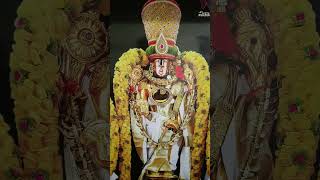 Sheshadrivasa Sri Tirumaleshadevotional tirupati shorts [upl. by Clareta]