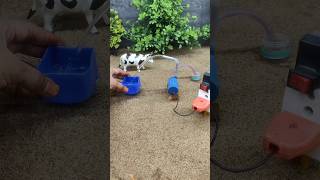 Mini motor water pump project mini hand pump project cow bathed video  150 [upl. by Alegnave596]