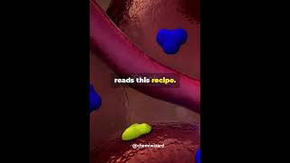 Do you knowUnderstanding tRNA mRNA and rRNA  CHEMIWIZARD🔬 trendingshortschemistry chemiwizard [upl. by Analak]