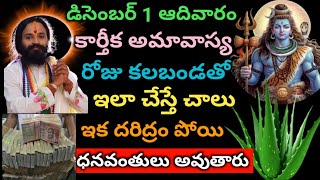 డిసెంబర్ 1 ఆదివారం కార్తీక అమావాస్య రోజు కలబంధ తో ఇలా chese చాలు ఇక డబ్బు వస్తుంది [upl. by Snashall848]