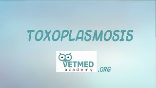 Toxoplasmosis [upl. by Vivia]