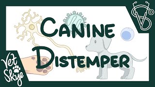 Canine Distemper  cause pathophysiology clinical signs diagnosis treatment prevention [upl. by Anelem847]