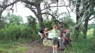 Wild Quail Release 070310 [upl. by Campbell]