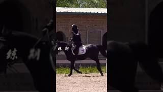 Behind the Scenes 1 Xiao Zhan Guo Jing Riding a Horse [upl. by Eiclehc]