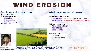 Wind erosion and its control measures [upl. by Nitnelav]