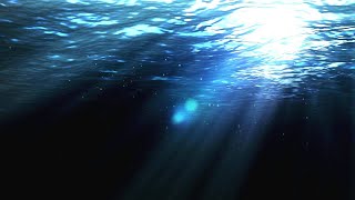 Copyright Free Underwater Background Loop  Motion Graphics Animated Background [upl. by Anialem]