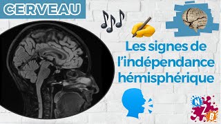 🧠 Quand les hémisphères cérébraux ne se parlent plus  Le corps calleux  Cerveau2 [upl. by Akemat]