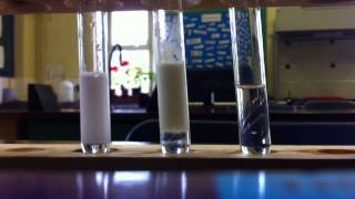 Halide ions and silver nitrate [upl. by Judd]