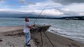 A Week in WALES FISHING 🦈 UK Sea Fishing Trout Catfish amp More [upl. by Radford]