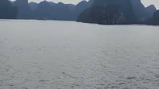 Halong Bay Cruise Vietnam vietnam halongbaycruise [upl. by Nortal]