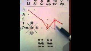 Acupuncture pulse diagnosis with pulse map 14 [upl. by Ydnar]