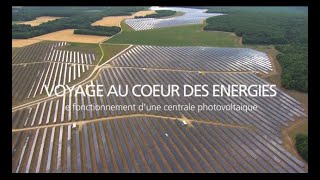 Comment une centrale solaire photovoltaïque transforme la lumière en électricité  EDF [upl. by Levon]