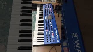 Groove synthesis 3rd Wave erwancoic synth vintagesynthesizer synthesizer synthesizermusic [upl. by Auqenwahs385]