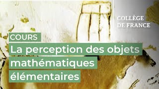 La perception des objets mathématiques élémentaires 1  Stanislas Dehaene 20232024 [upl. by Sauer640]