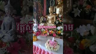 វត្តស្វីសខេមរារាម។ borbet food eatingfood clvdta eatinghabits fbreelsfyp fbreelsvideo CLV [upl. by Farwell]