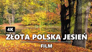 Złota polska jesień w 4K [upl. by Ahsieuqal427]