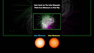 Solar Cycle 25 The Solar Magnetic Field from Minimum to Pole Flip [upl. by Anoved]