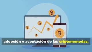 El Mercado de Crypto esta a punto de Explotar en las proximas 2 semanas bitcoin cryptocurrency [upl. by Belding25]