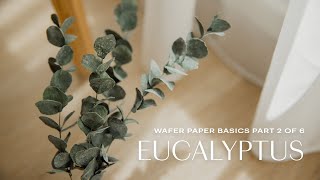 Wafer Paper Flowers Basics for Beginners Eucalyptus Part 26 [upl. by Marissa849]