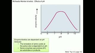 Medical Biochemistry Enzyme Kinetics Skildum [upl. by Boylston]