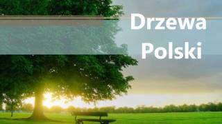 Drzewa Polski [upl. by Rebmit]