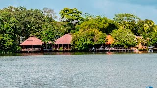 Laguna Lodge Tortuguero Costa Rica  My Costa Rica [upl. by Asiilanna145]