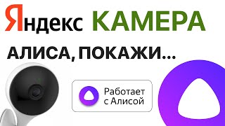 Яндекс Алиса Камера видеонаблюдение через станцию и модуль умный дом [upl. by Zilevi980]