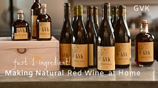 How to Make Natural Red Wine at Home [upl. by Demeyer]