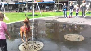 Stads park denhelder spelen in de fontein [upl. by Madaras587]